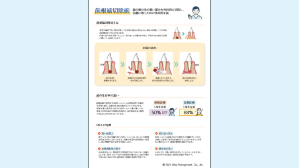 0061_根管治療（歯根端切除術）の説明書